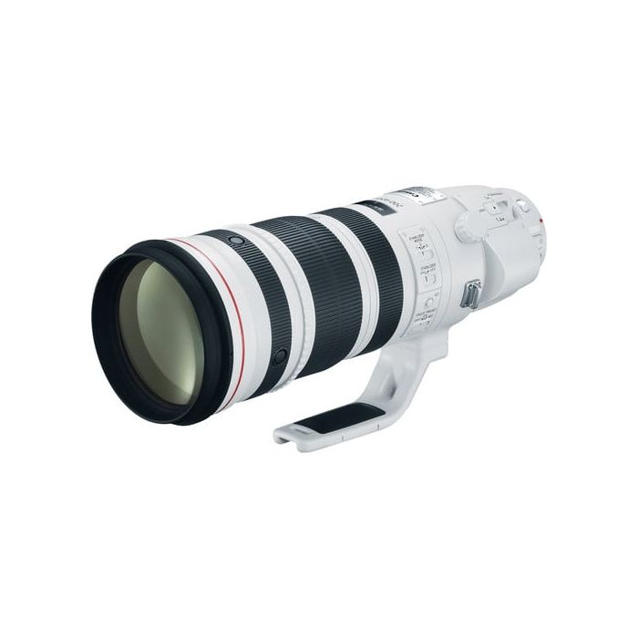 Canon EF 200-400mm f/4L IS USM Extender 1.4x