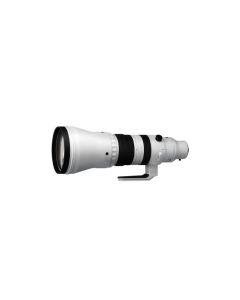 Sigma 300-600mm f/4 DG OS Sports for Sony E