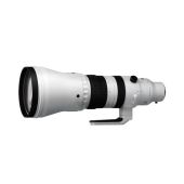 Sigma 300-600mm f/4 DG OS Sports for Sony E