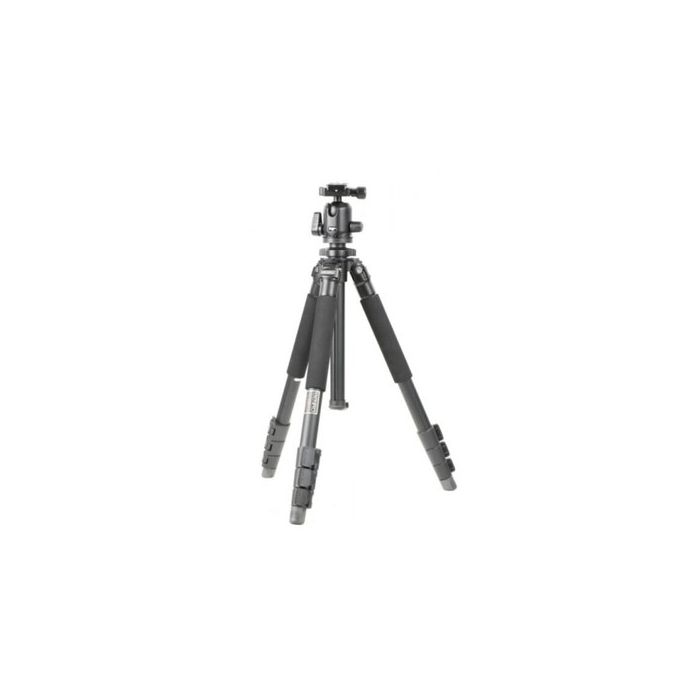 Benro Tripod A2695F with Ball Head