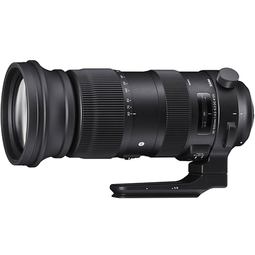 Sigma 60-600mm f/4.5-6.3 DG OS HSM Sports for Canon for sale
